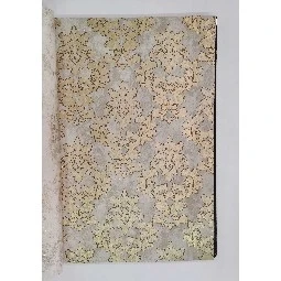 Golden Black Krem Kahve Zemin Üstüne Gold Motifli Damask Desenli 41292 Duvar Kağıdı 16.10 M²